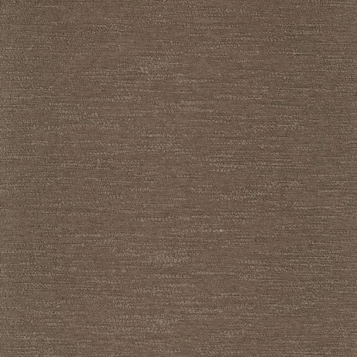 Krakatoa Fabric - Chamois by brown plain misc fabric from Camengo