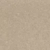 brown plain misc fabric from Camengo