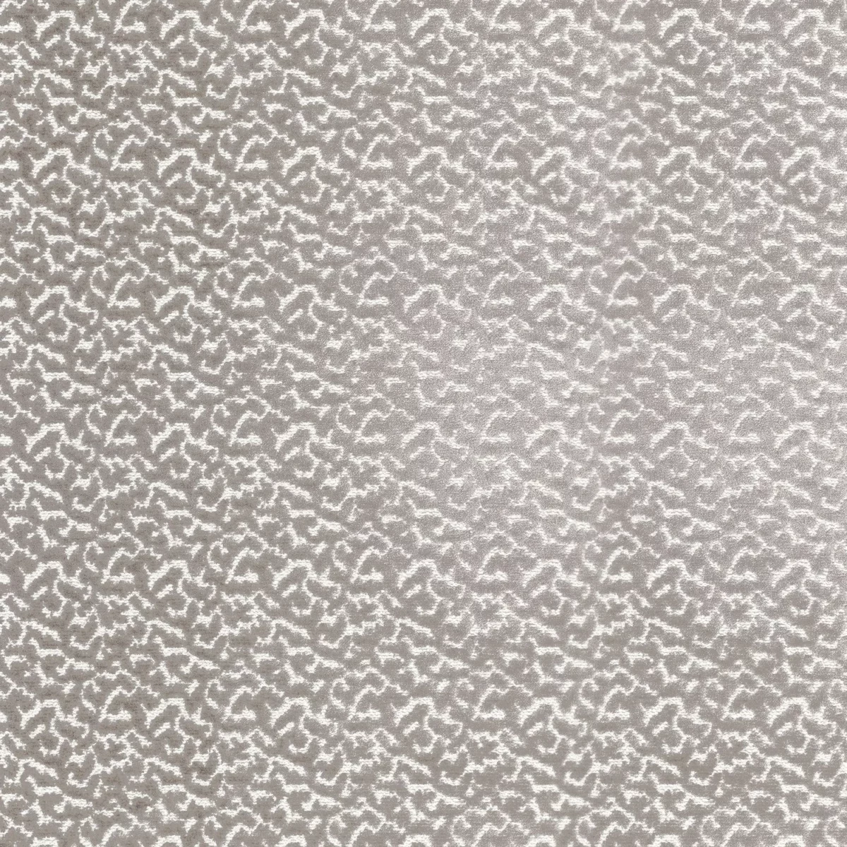 Smooth Fabric - Taupe by neutral misc jacquard fabric from Camengo