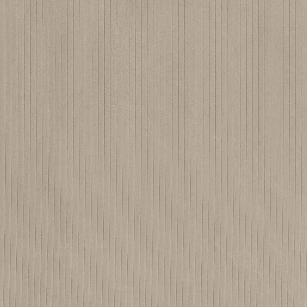 Tamia Fabric - Chamois by neutral plain velvet-chenille fabric from Camengo