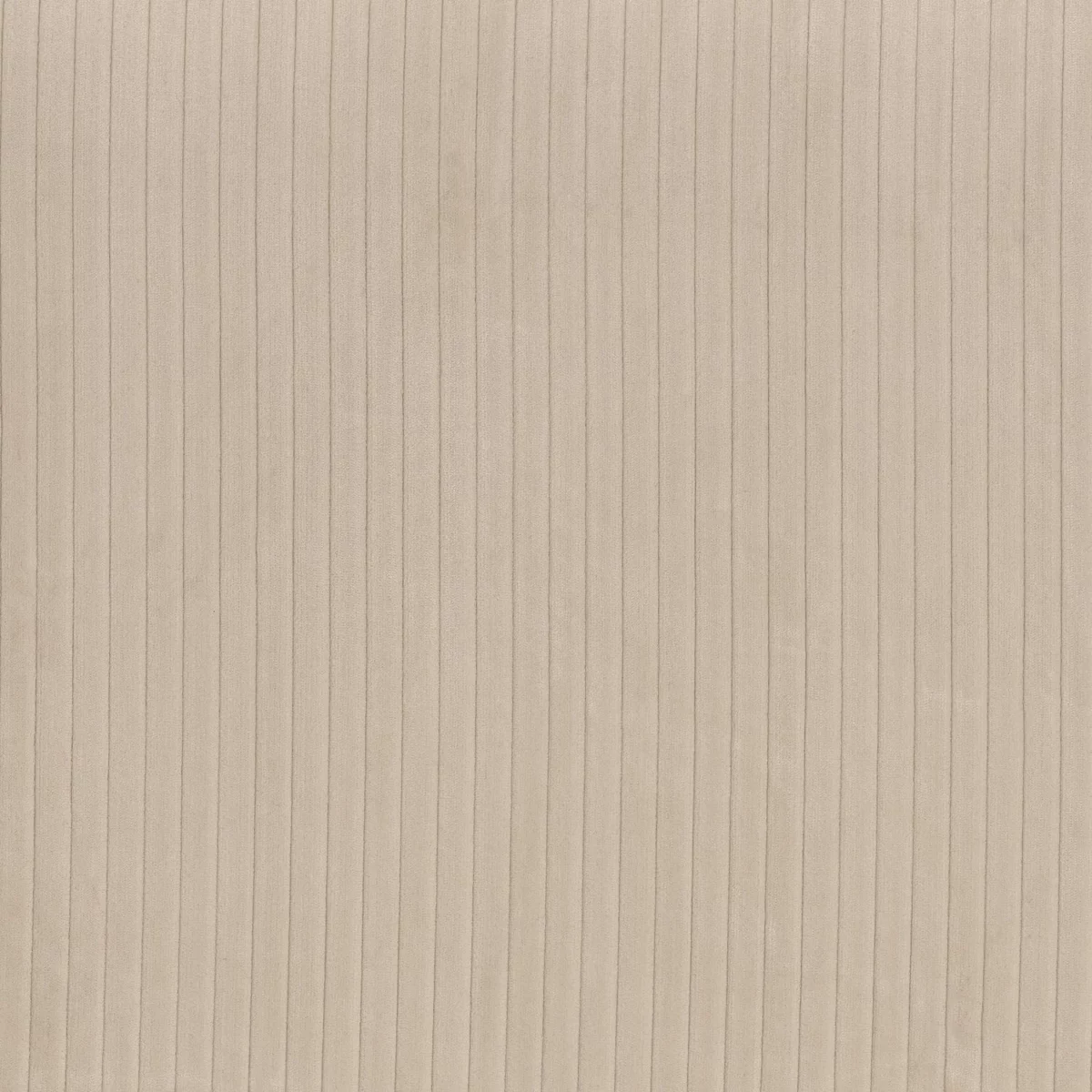 Okapi Fabric - Lin by neutral plain velvet-chenille fabric from Camengo