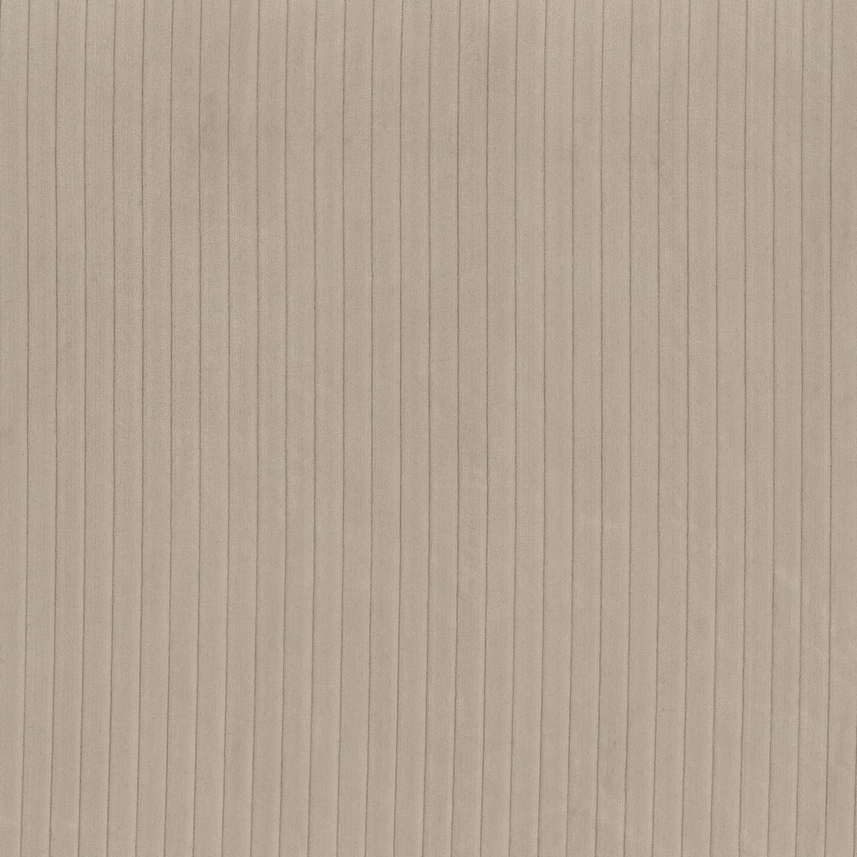 Okapi Fabric - Chamois by neutral plain velvet-chenille fabric from Camengo