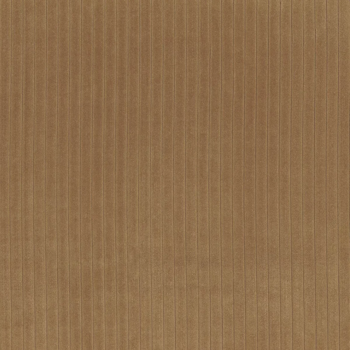 Okapi Fabric - Camel by brown plain velvet-chenille fabric from Camengo