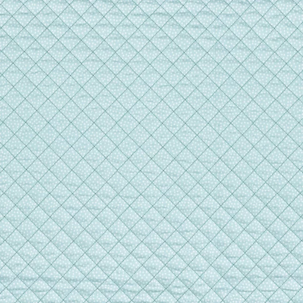 blue children's embroideried fabric from Camengo
