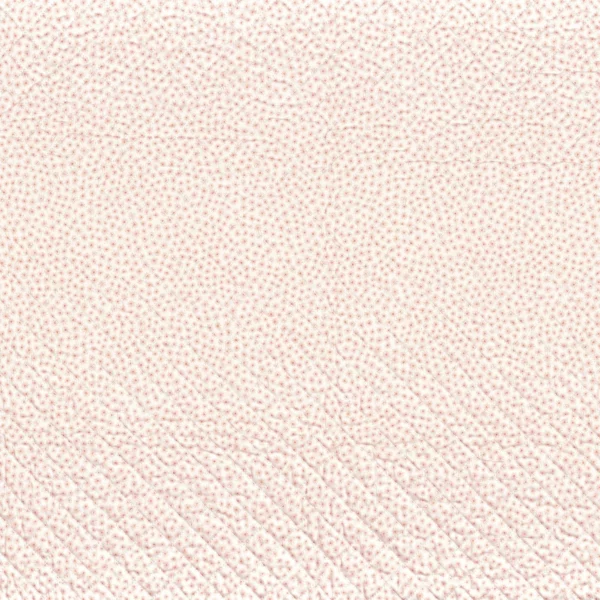 Passionne Fabric - Rose by pink children's embroideried fabric from Camengo