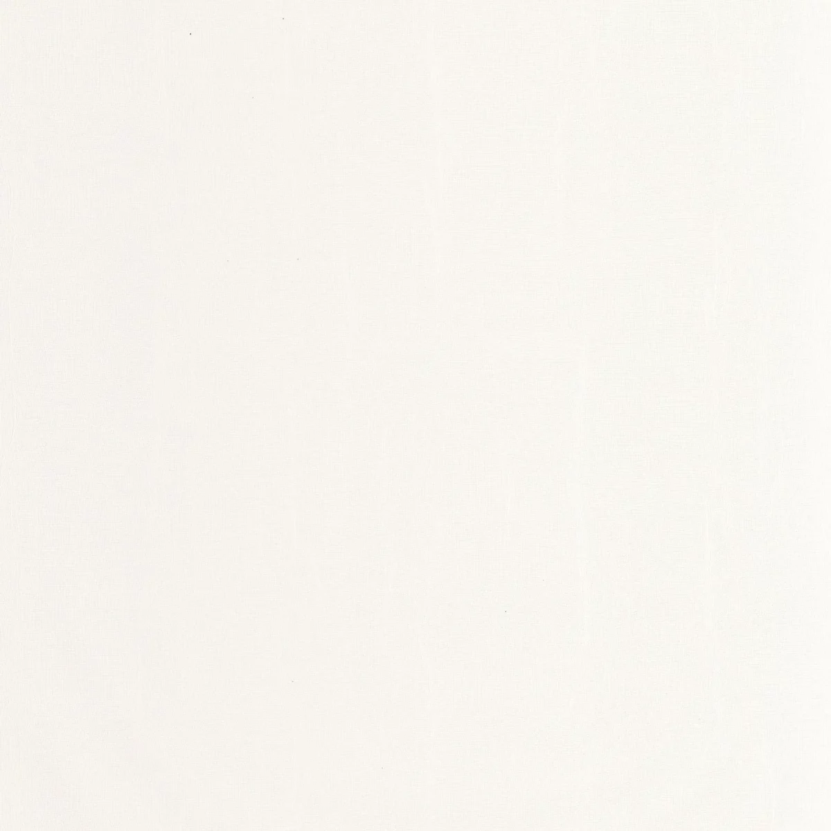 Etamine Wallpaper - Blanc Coton by white plain wallpaper from casadeco