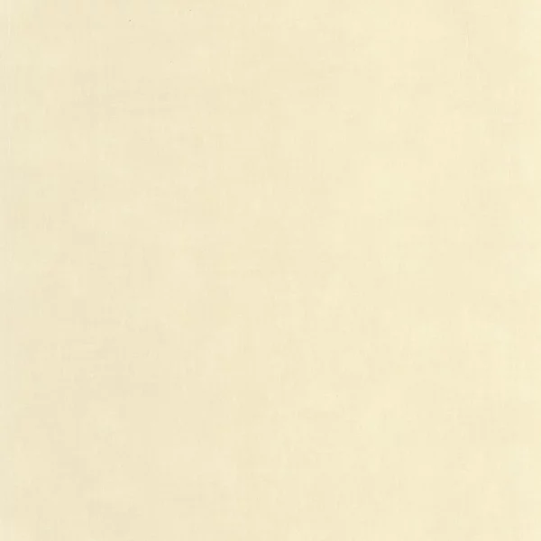 Etamine Wallpaper - Beige Sable by white plain wallpaper from casadeco