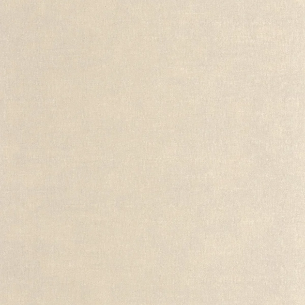 neutral plain wallpaper from casadeco
