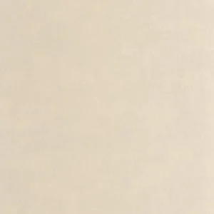 neutral plain wallpaper from casadeco