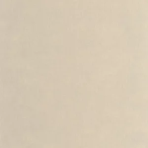 neutral plain wallpaper from casadeco