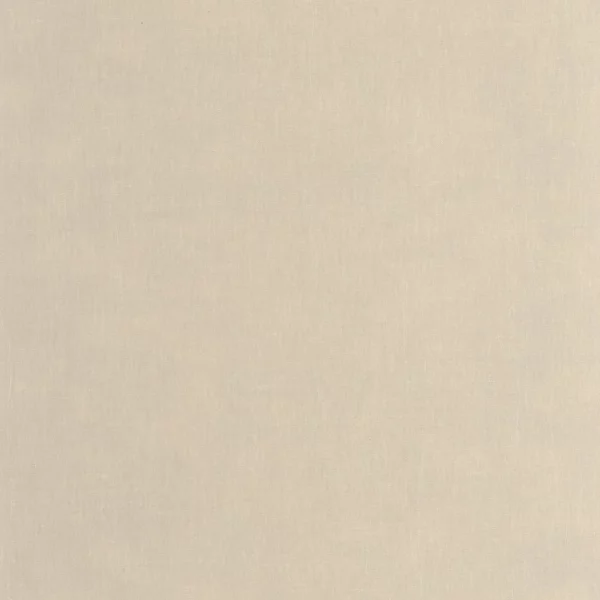 Etamine Wallpaper - Grege by neutral plain wallpaper from casadeco