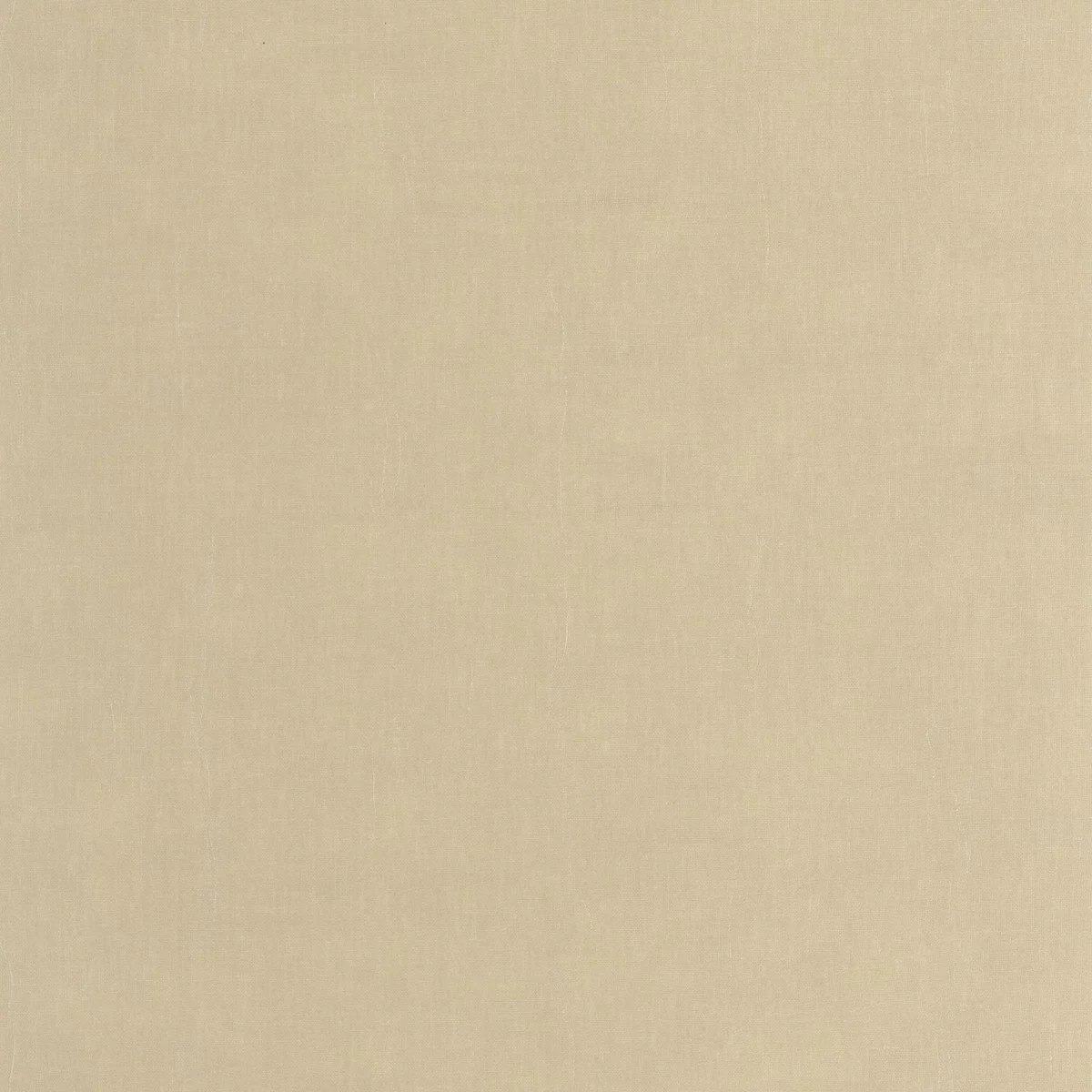 neutral plain wallpaper from casadeco