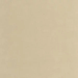 neutral plain wallpaper from casadeco