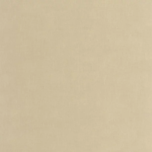 Etamine Wallpaper - Beige Chamois by neutral plain wallpaper from casadeco