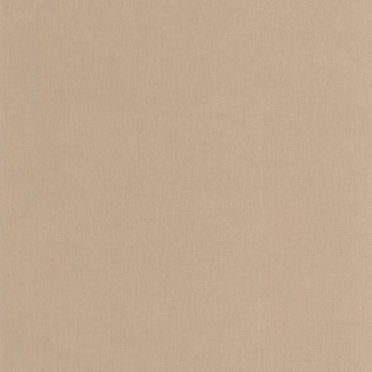Etamine Wallpaper - Cappuccino by brown plain wallpaper from casadeco