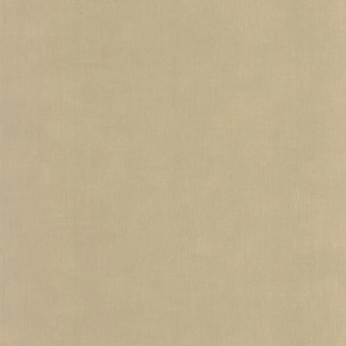 neutral plain wallpaper from casadeco