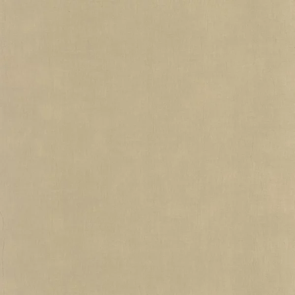 Etamine Wallpaper - Beige Ficelle by neutral plain wallpaper from casadeco