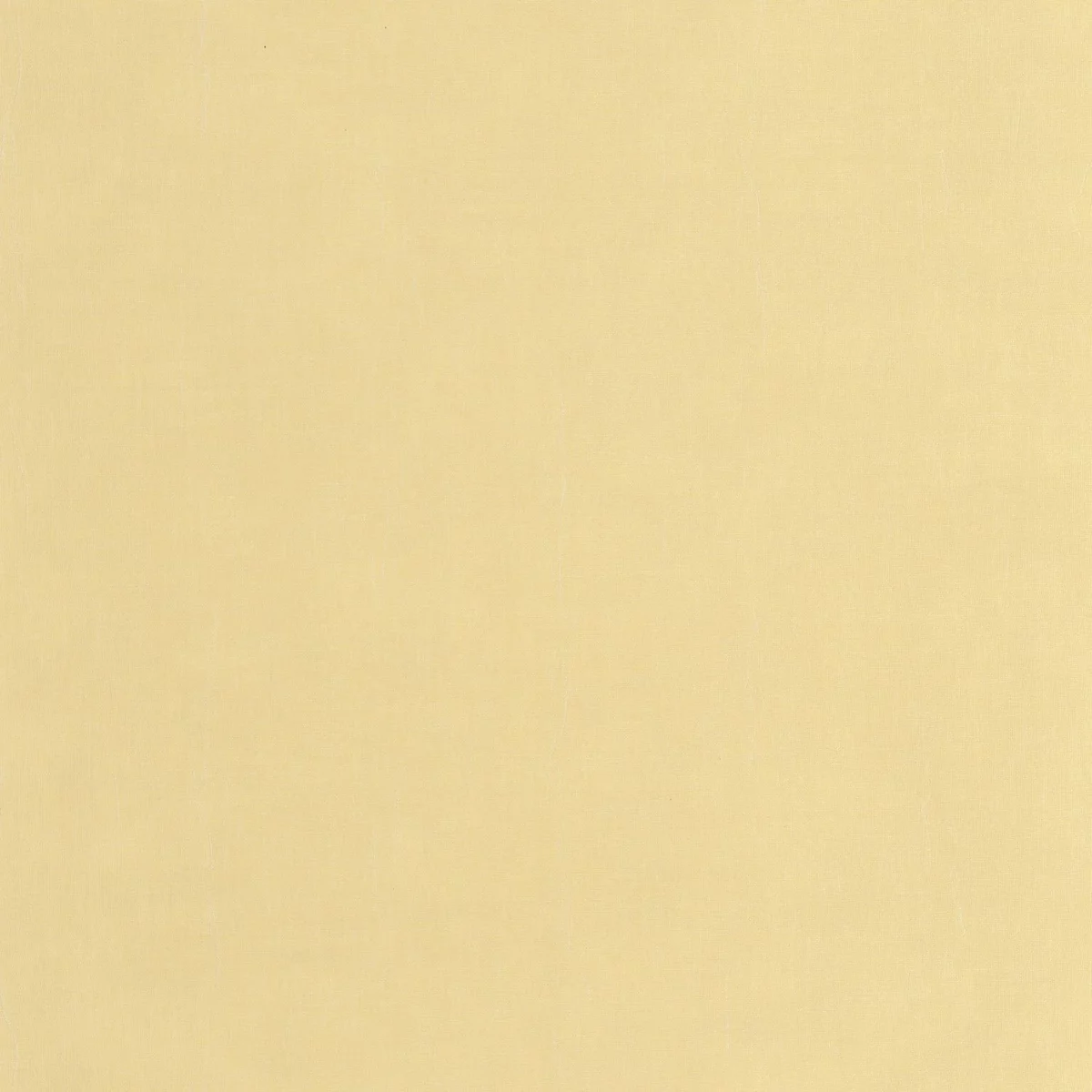 yellow plain wallpaper from casadeco