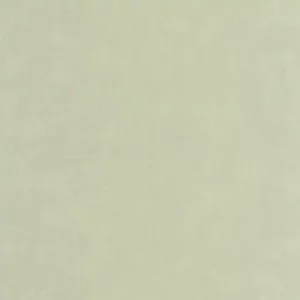 green plain wallpaper from casadeco