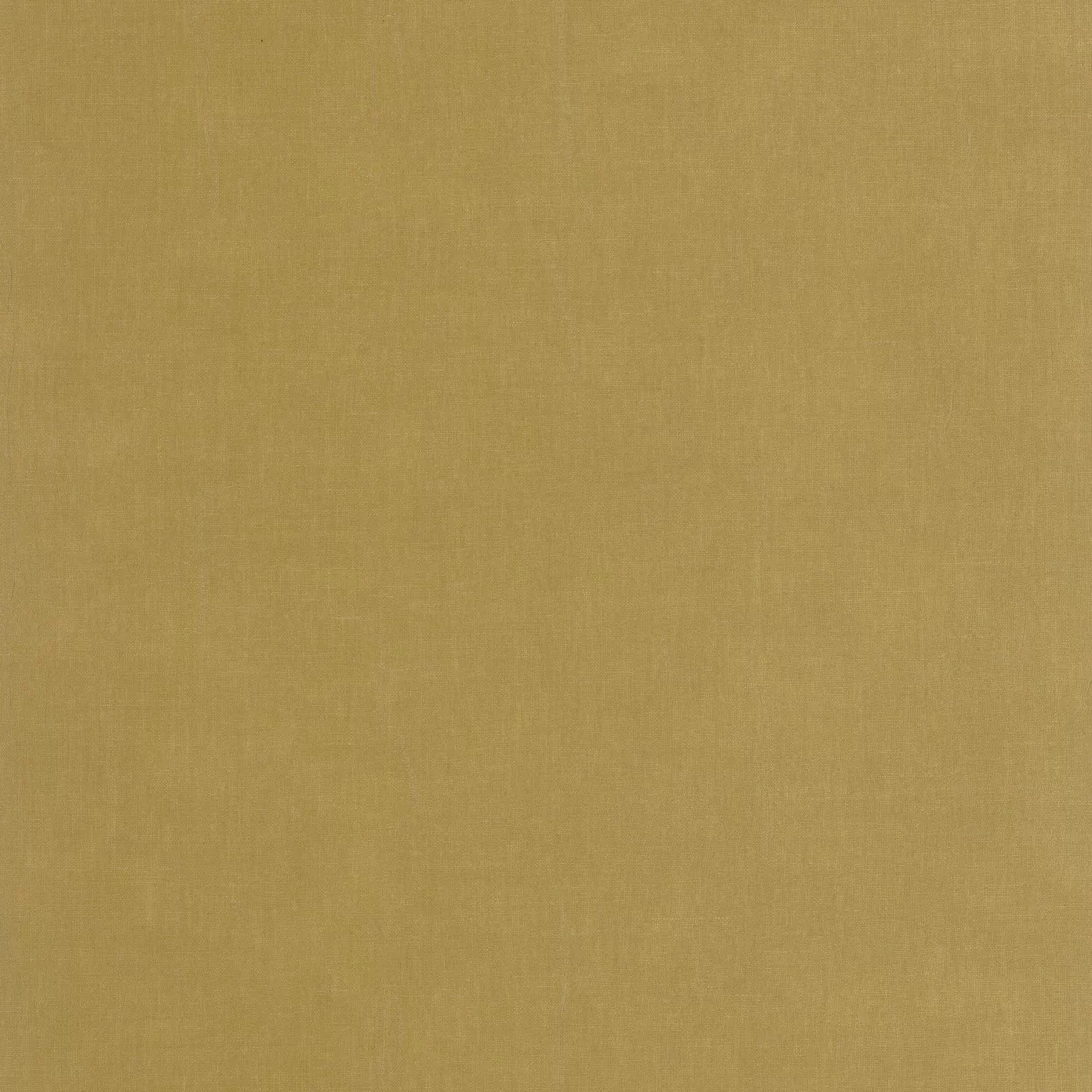 Etamine Wallpaper - Olive by green plain wallpaper from casadeco