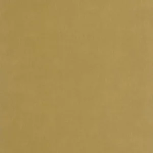 green plain wallpaper from casadeco