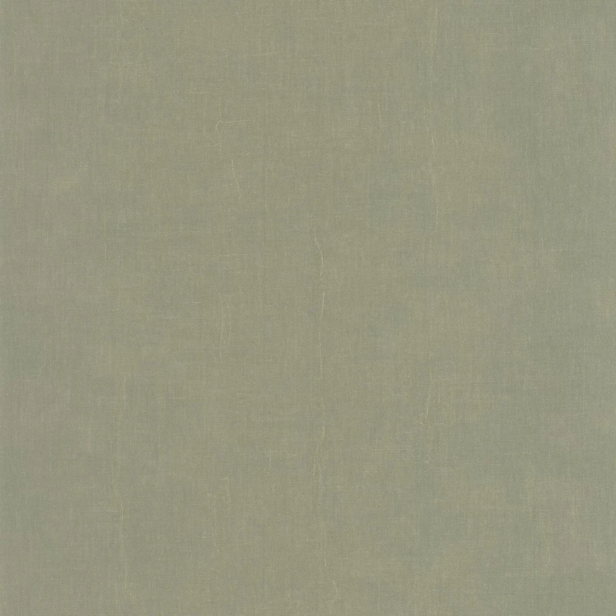 Etamine Wallpaper - Vert Lichen by green plain wallpaper from casadeco