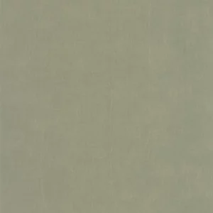 green plain wallpaper from casadeco