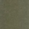 green plain wallpaper from casadeco