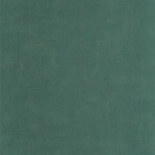Etamine Wallpaper - Vert Emeraude by green plain wallpaper from casadeco