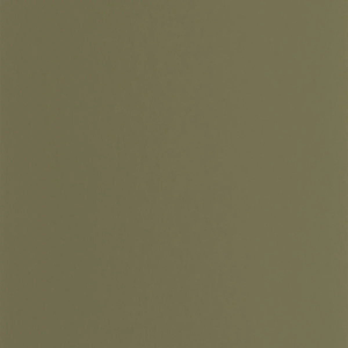Pigments Wallpaper - Vert Kaki by green plain wallpaper from casadeco