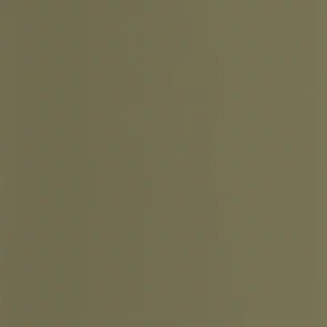 green plain wallpaper from casadeco