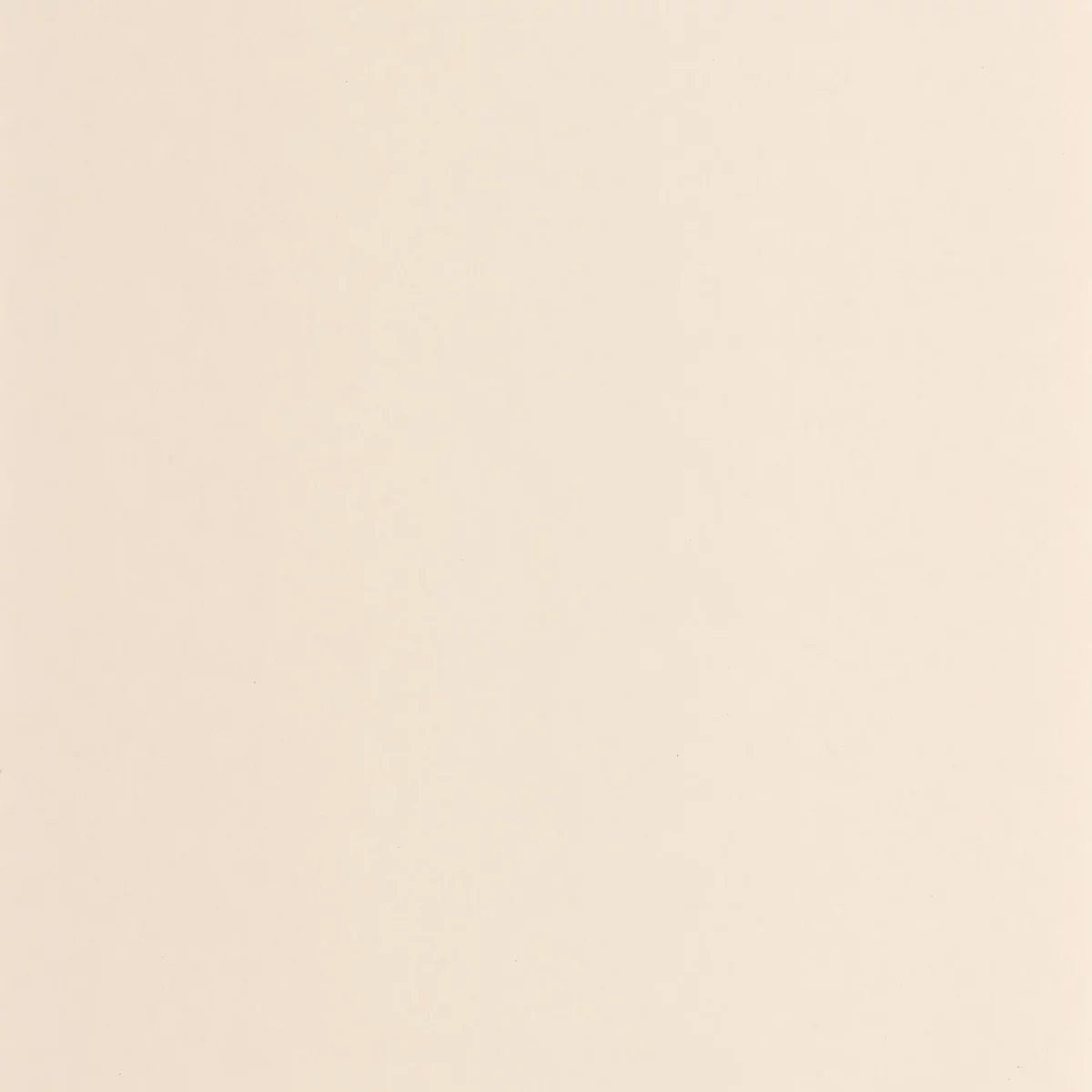 Pigments Wallpaper - Ficelle by neutral plain wallpaper from casadeco
