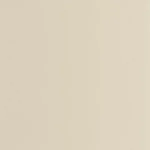neutral plain wallpaper from casadeco