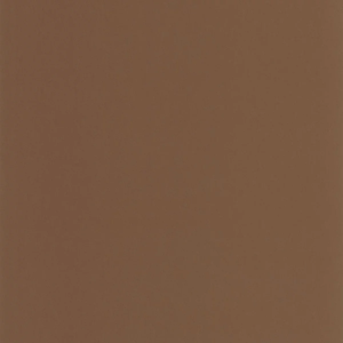 Pigments Wallpaper - Cacao by brown plain wallpaper from casadeco