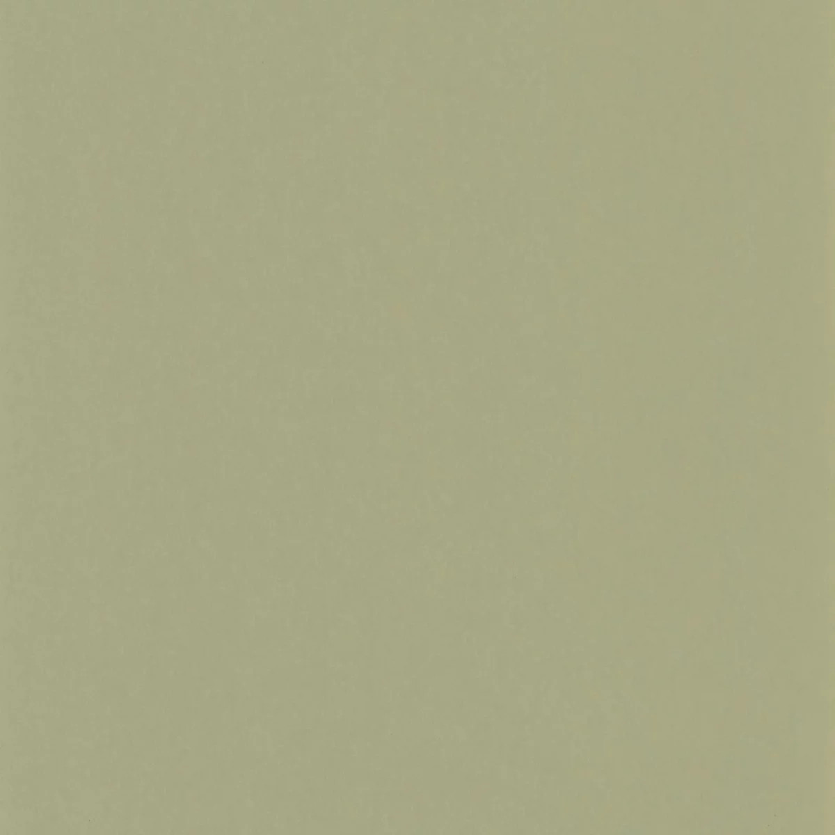Pigments Wallpaper - Argile Verte by green plain wallpaper from casadeco