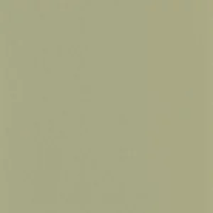 green plain wallpaper from casadeco