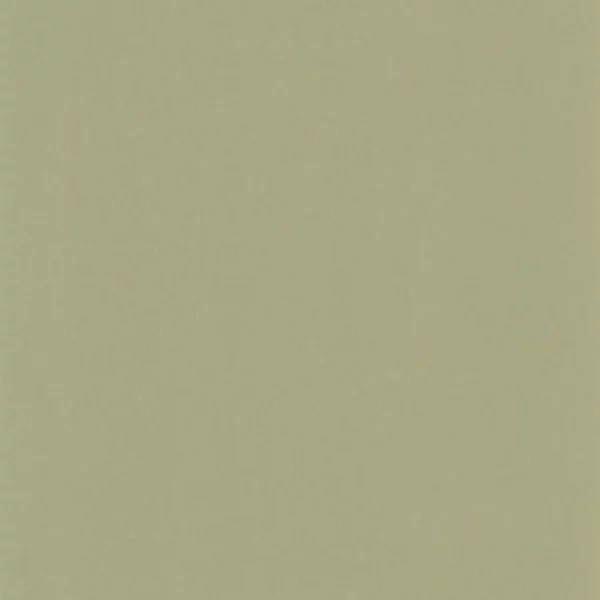 green plain wallpaper from casadeco