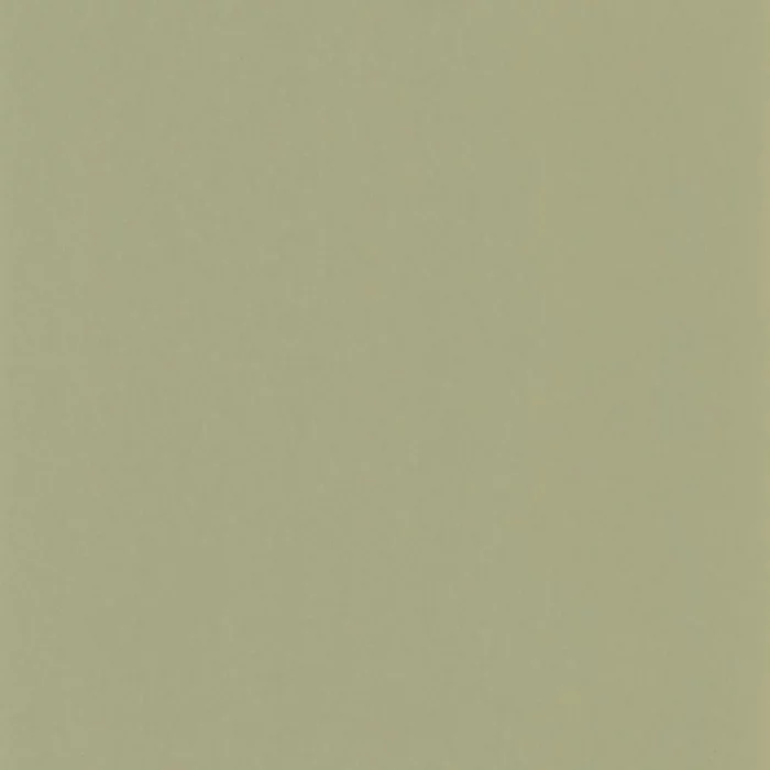 Pigments Wallpaper - Argile Verte fabric swatch MOCO200337337