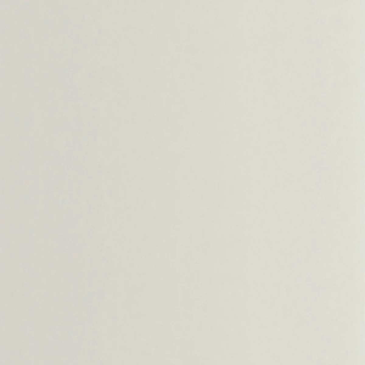 Pigments Wallpaper - Grege by black-grey plain wallpaper from casadeco