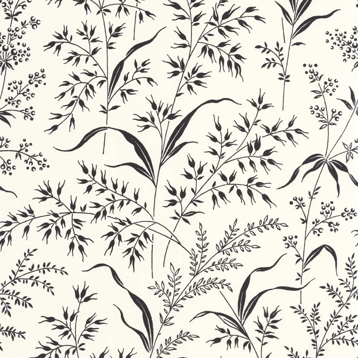 Grass Field Wallpaper - Fusain by white botanical wallpaper from casadeco