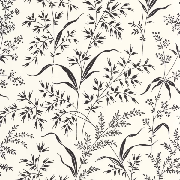 Grass Field Wallpaper - Fusain by white botanical wallpaper from casadeco