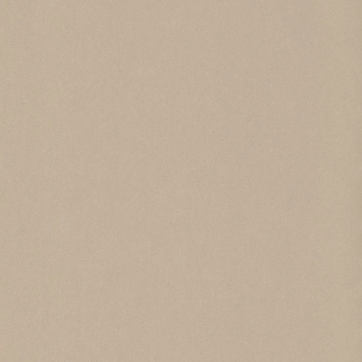 neutral plain wallpaper from casadeco