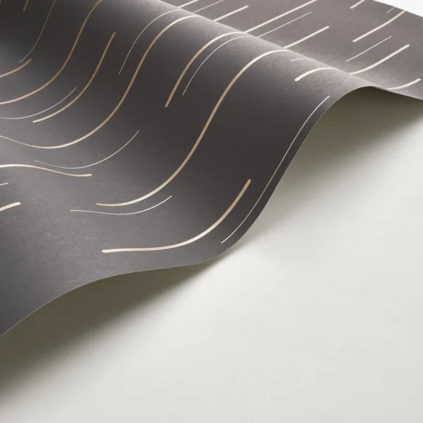 Suspension Wallpaper - Noir Fusain by Suspension Wallpaper - Noir Fusain from