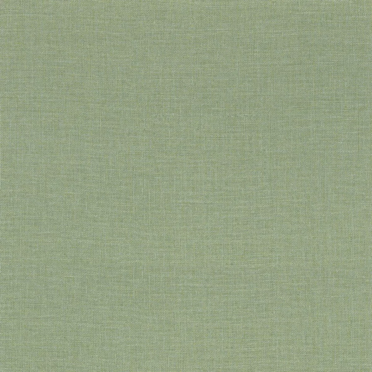 Lienzo Wallpaper - Cactus by green plain wallpaper from casamance