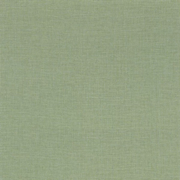 Lienzo Wallpaper - Cactus by green plain wallpaper from casamance