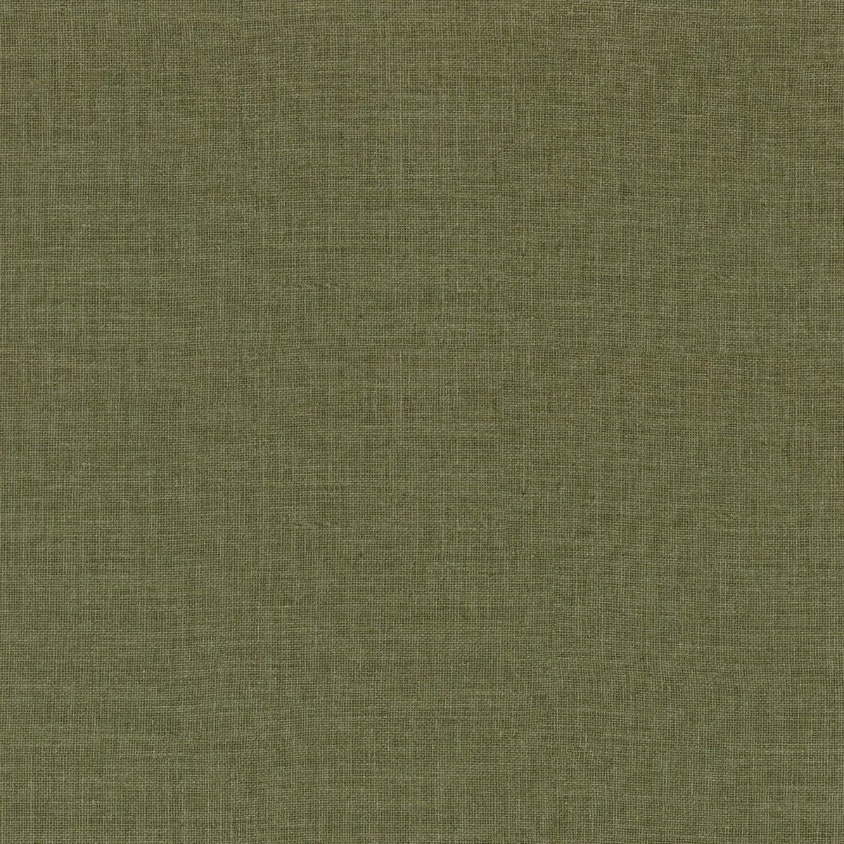 green plain wallpaper from casamance