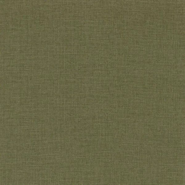 Lienzo Wallpaper - Kaki by green plain wallpaper from casamance