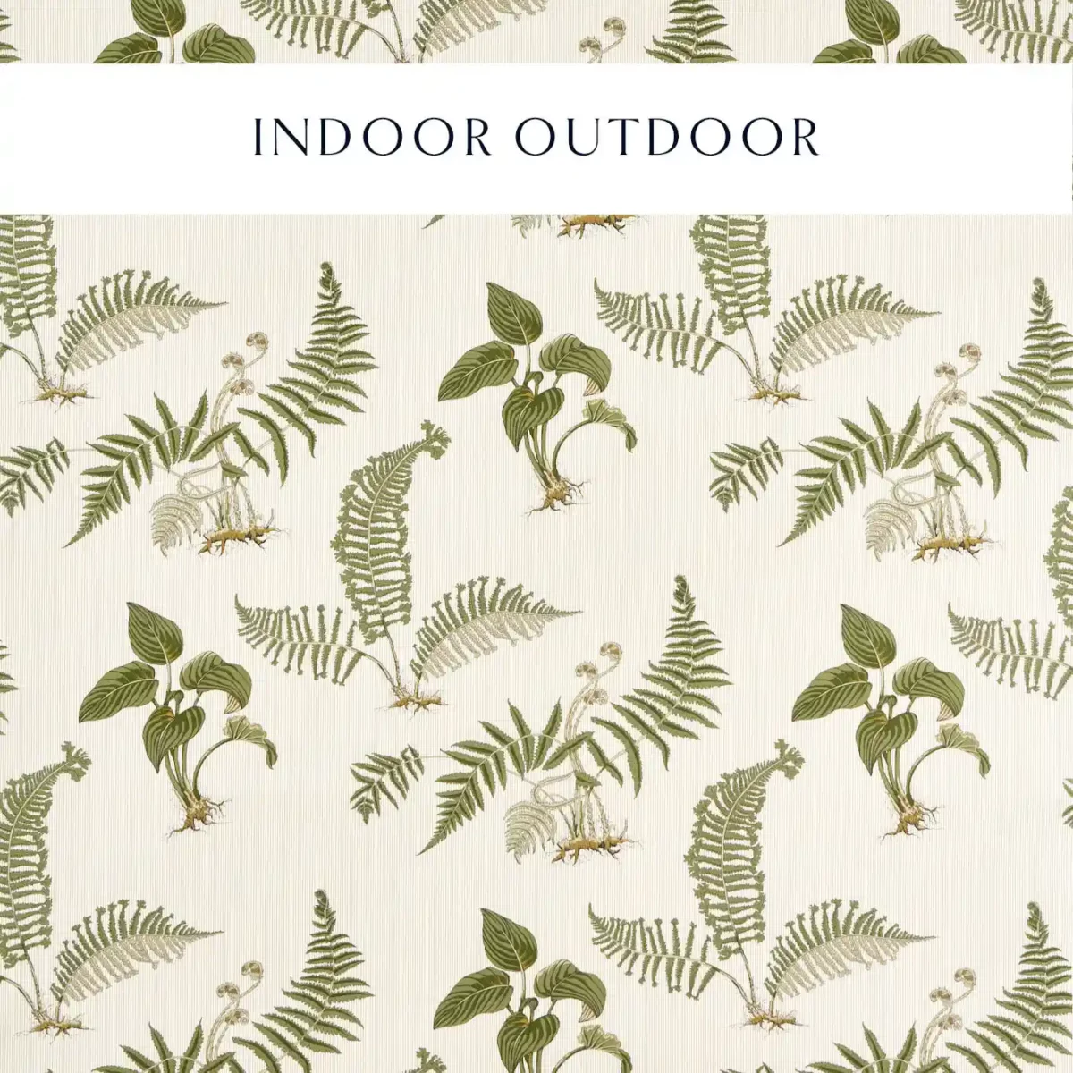 Hosta & Fern Fabric - Olivine by green botanical printed fabric from Sanderson