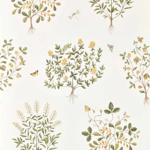 Thyme Walk Wallpaper - Lichen / Gooseberry by green animal wallpaper from sanderson