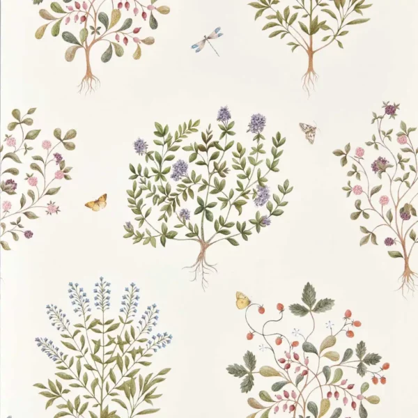 Thyme Walk Wallpaper - Damson / Quince by green animal wallpaper from sanderson